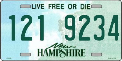 NH license plate 1219234