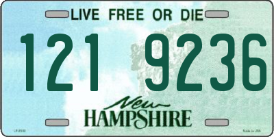 NH license plate 1219236