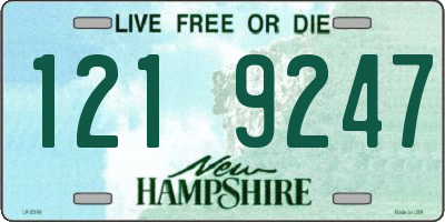 NH license plate 1219247