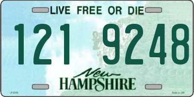 NH license plate 1219248