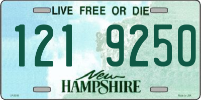 NH license plate 1219250