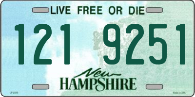 NH license plate 1219251