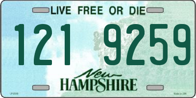 NH license plate 1219259