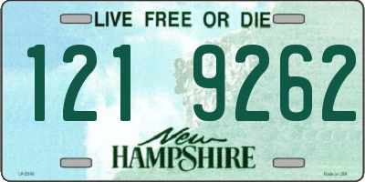 NH license plate 1219262