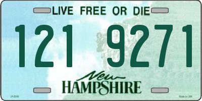 NH license plate 1219271