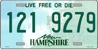 NH license plate 1219279