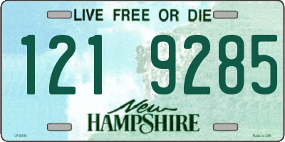 NH license plate 1219285