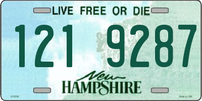 NH license plate 1219287