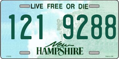 NH license plate 1219288