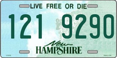 NH license plate 1219290