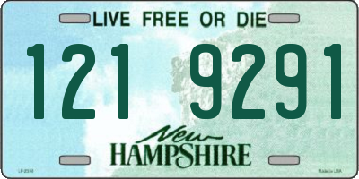 NH license plate 1219291