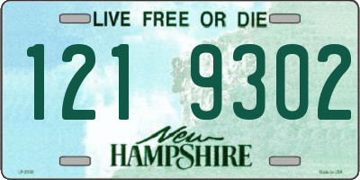 NH license plate 1219302