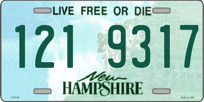 NH license plate 1219317