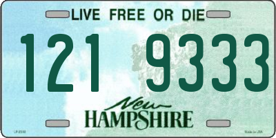 NH license plate 1219333
