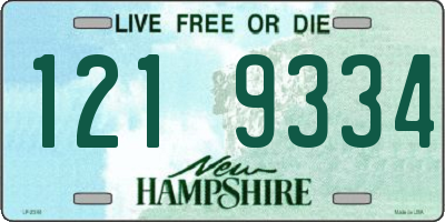 NH license plate 1219334