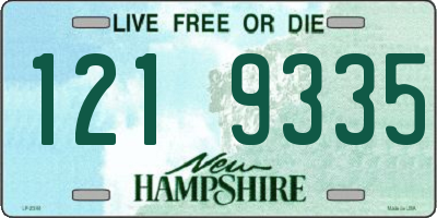 NH license plate 1219335