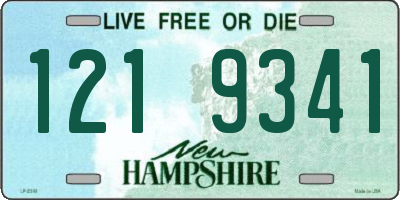 NH license plate 1219341
