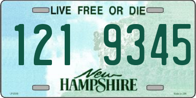 NH license plate 1219345