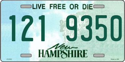 NH license plate 1219350