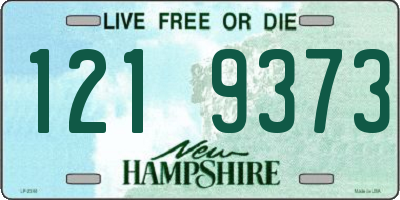 NH license plate 1219373