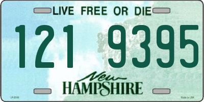 NH license plate 1219395