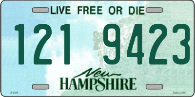 NH license plate 1219423