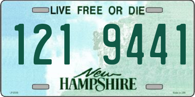 NH license plate 1219441