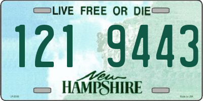 NH license plate 1219443