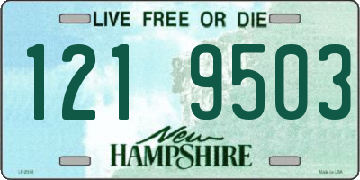 NH license plate 1219503