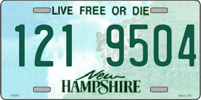 NH license plate 1219504