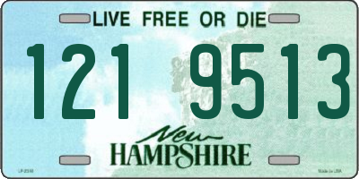 NH license plate 1219513