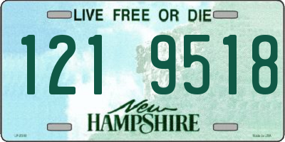 NH license plate 1219518