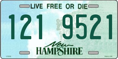 NH license plate 1219521