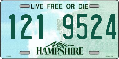 NH license plate 1219524