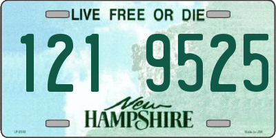 NH license plate 1219525