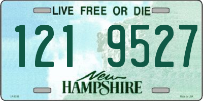 NH license plate 1219527