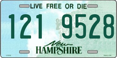 NH license plate 1219528