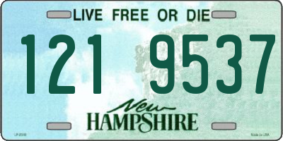 NH license plate 1219537