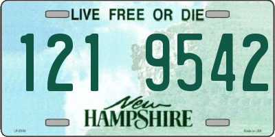 NH license plate 1219542