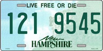 NH license plate 1219545