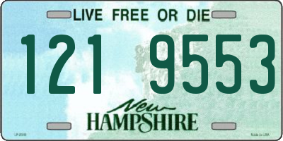 NH license plate 1219553