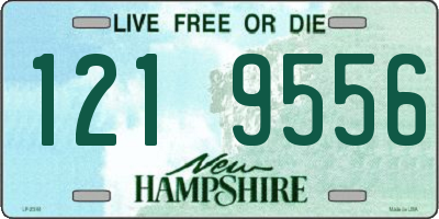 NH license plate 1219556