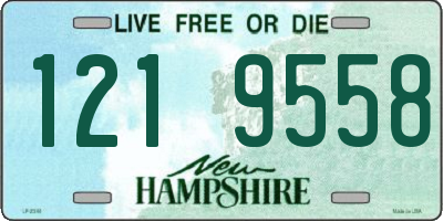 NH license plate 1219558