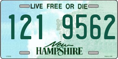 NH license plate 1219562
