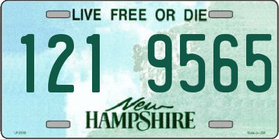 NH license plate 1219565