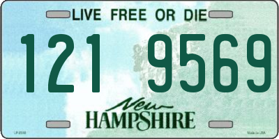 NH license plate 1219569