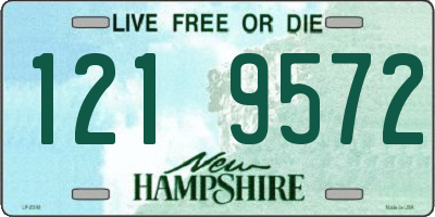 NH license plate 1219572