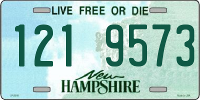 NH license plate 1219573