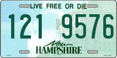 NH license plate 1219576