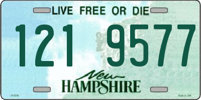 NH license plate 1219577